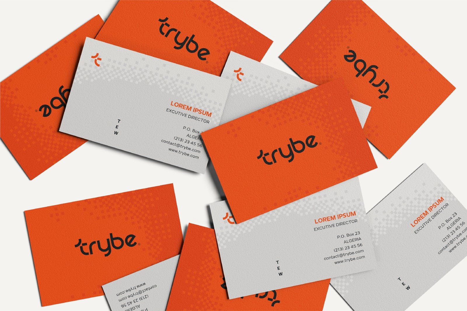 Trybe — visual identity, image 4 of 5